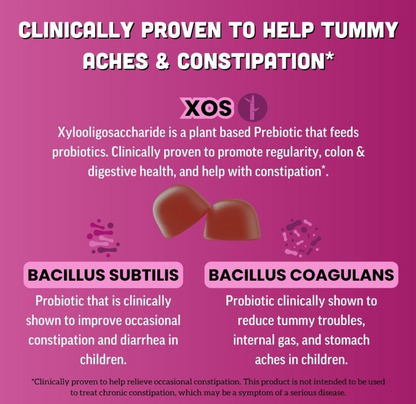 Charque Llama Probiotic with Prebiotic Fiber, Vegan, Organic Prebiotics and Probiotics Gummies